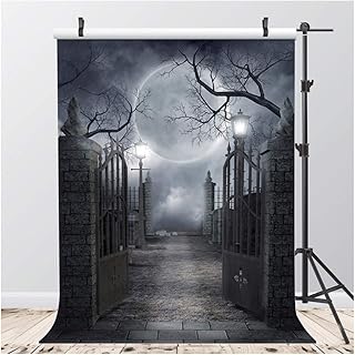 AIIKES 5x7FT Retro Style Halloween Theme Painting Vinyl Photography Background Black Photography Background Moon Photo Background Studio Props 10-704