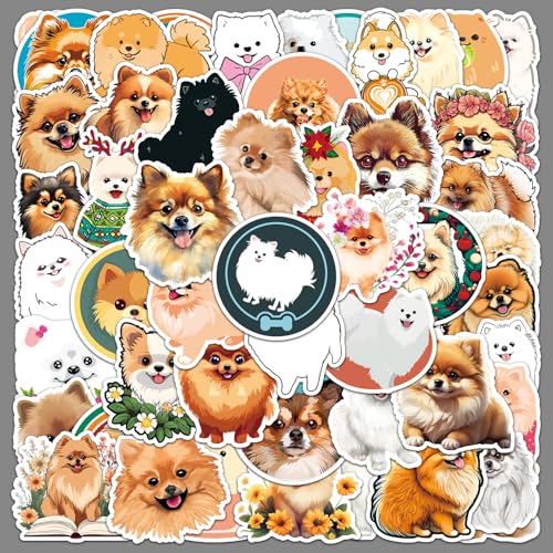 50 |jA XebJ[Zbg  lC h X[cP[X M^[  oCN ]  wbg p\R X}z m[g fJ[ Xm{ XP[g{[h ו X}zP[X p