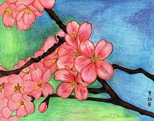 Pink Cherry Blossoms Color Pencil Poster Print - National Cherry Blossom Festival DC Poster Print - Sakura Unique Living Room Wall Decor Poster Print