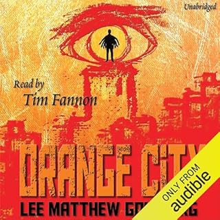 Orange City Audiolibro Por Lee Matthew Goldberg arte de portada
