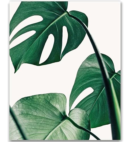 Amazon Com Tropical Leaf Print Botanical Print Palm Print Monstera Art Green Plant Prints Leaf Photography Leaf Print Green Plant Print Tropical Art Print Green Leaves Art Bohemian Art Boho Art 8x10 Handmade