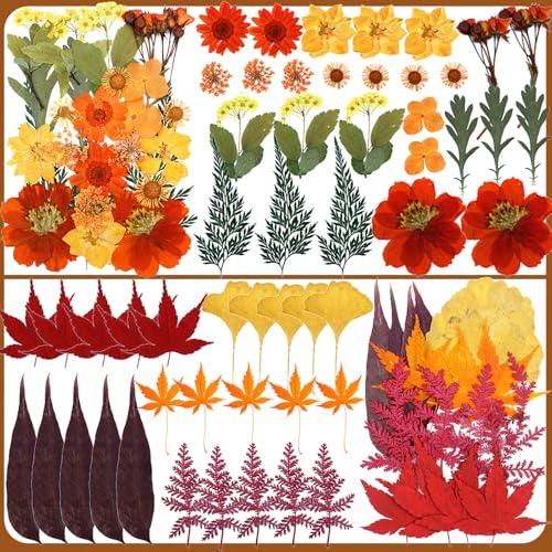 Flores prensadas secas otoño para manualidades 103 piezas miniatura 3
