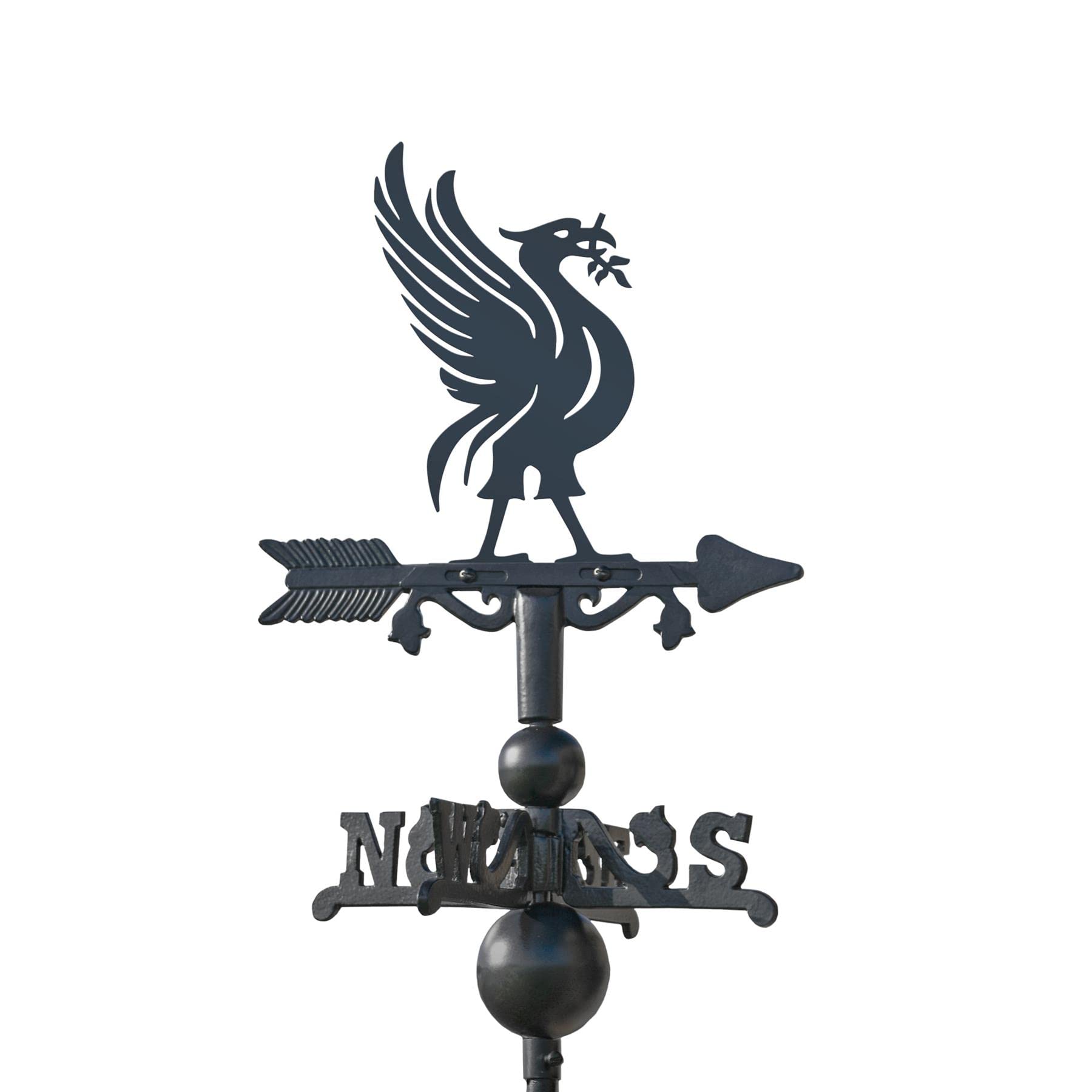 Black Cast Iron Miniature Liver Bird Weathervane - Outdoor Garden Roof Weathervane Ornament