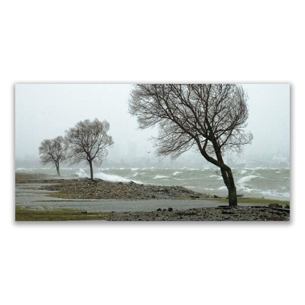 Impression sur verre trempé Tulup nature arbres 120x60cm tableau déco luxe durable