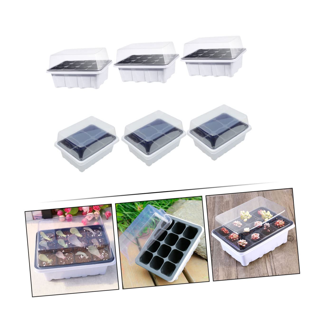 Hemobllo 12pezzi Vassoi per Germinazione Piante per Avviamento Piante e Coltivazione Serra Leggeri e Facili da Usare Perfetti per Verdure e Succulente