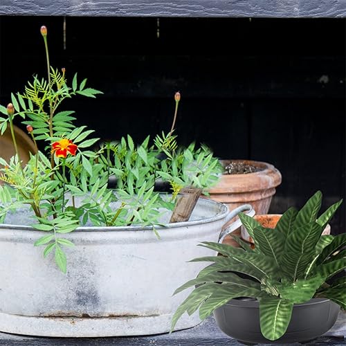 Miniatura 9 de DOITOOL 2 macetas de entrenamiento de bonsái de plástico de 17 pulgadas con orificio de drenaje, maceta ovalada para bonsái, macetas de cultivo para