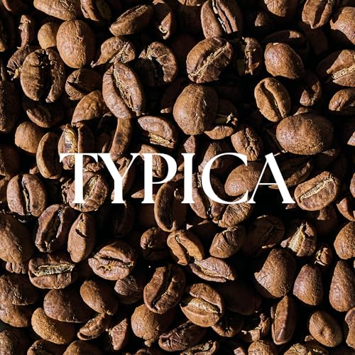 Typica - Ainanani Kona Coffee en grano 10 oz miniatura 3