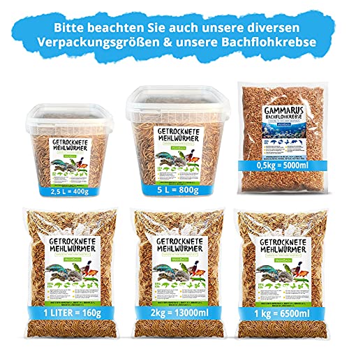 Mehlwürmer getrocknet, 800g (entspricht 5 L) getrocknete Mehlwürmer im praktischen Eimer, proteinreicher Snack für… – Bild 8