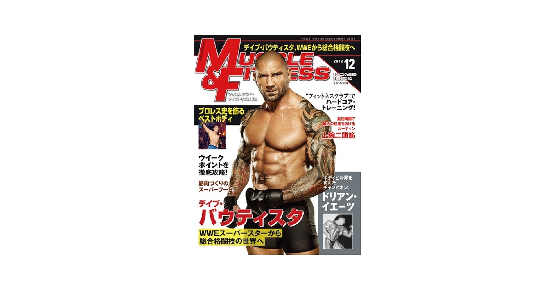 マッスル&フィットネス2012年8月号～2014年12月号まとめ売りセット マッスル&フィットネス2012年8月号～2014年12月号まとめ売り