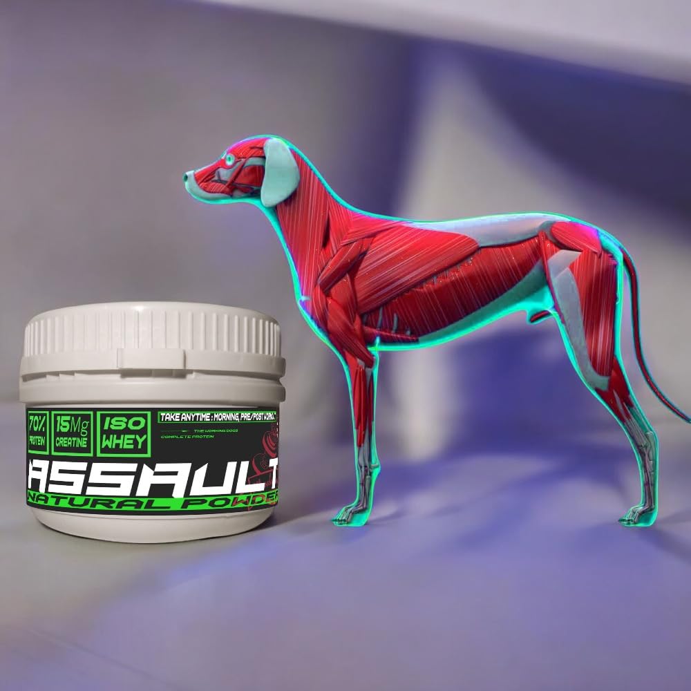 Assault Natural Powder 125 Suplemento muscular para perros con proteínas del suero W.P.C. 80%, aminoácidos, creatina 15.000 mg, B.C.A.A., para crecimiento y definición muscular