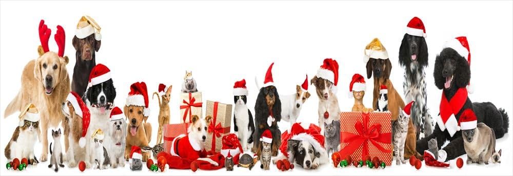 ウォールステッカー 飾り 60 60cm シール式 装飾 おしゃれ 壁紙 はがせる 剥がせる カッティングシート Wall Sticker 雑貨 ガラス 窓 Diy プチリフォーム パーティー イベント 賃貸 クリスマス 動物 犬 猫 手数料無料