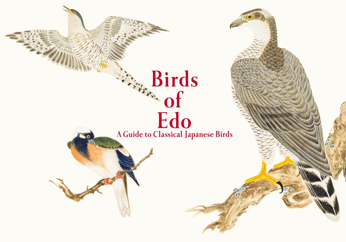 Birds of Edo: A Guide to Classical Japanese Birds (Pie EDO Nature Illustration)