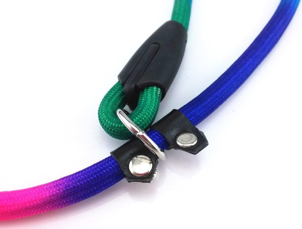 yueton Rainbow Pet Dog Nylon Leash Adjustable Loop Slip Lead Rope, Multi-colored, Small (Pack of 1) - Image 5