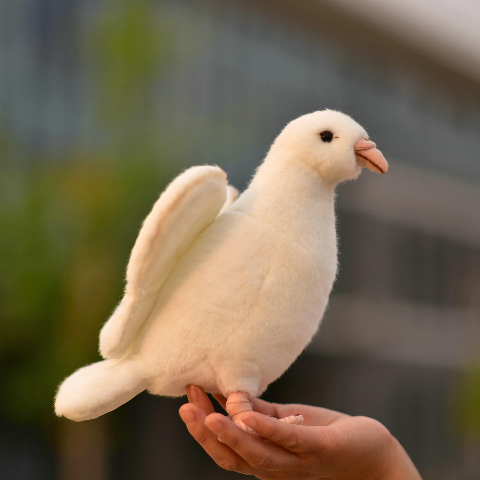 Amazon.co.jp: LIUHONGFEI 白鳩 ぬいぐるみ リアルで平和な鳩人形 子供