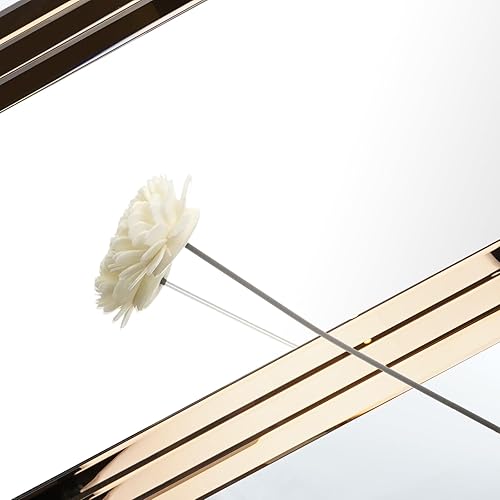 Miniatura 5 de WallBeyond Espejo de longitud completa con soporte de 64 x 21 pulgadas, espejo rectangular grande de longitud completa montado en la pared para sala