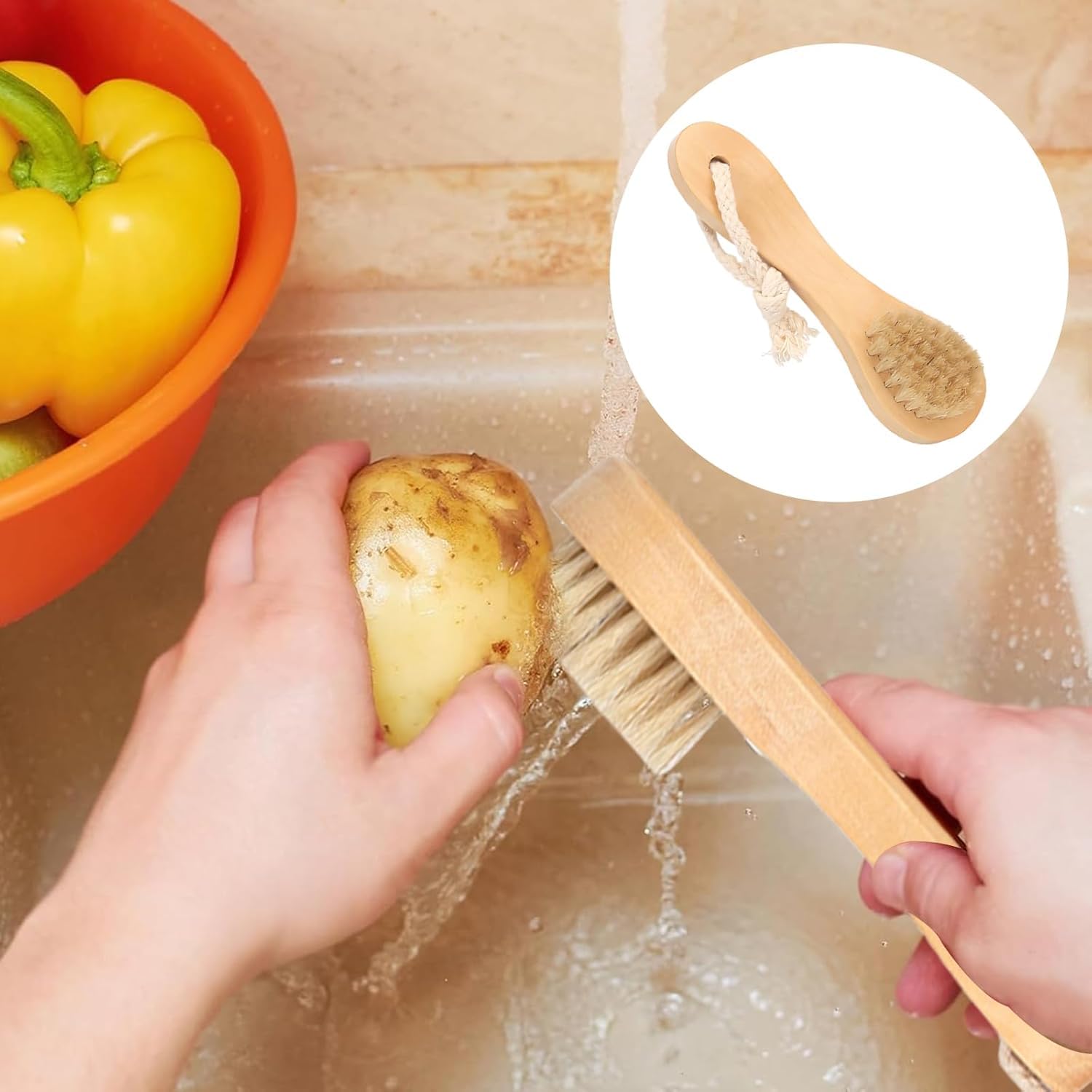 Brosse à Légumes 5 Pièces Legume Brosse à Champignon Poignée Ergonomique