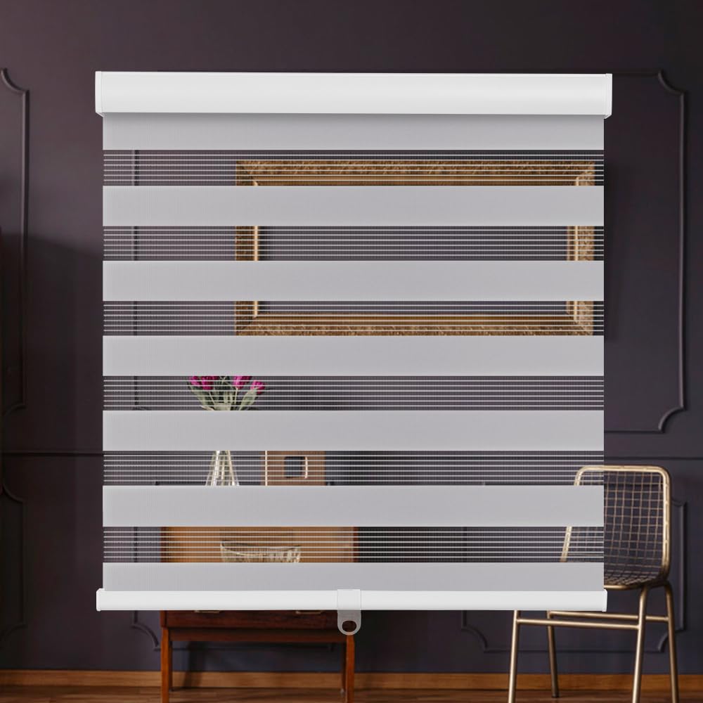 SMONTER Cordless Zebra Blinds for Windows Zebra Roller Shades with Metal Valance Free Stop Dual Layer Sheer Blinds Day Night Privacy Light Filtering,