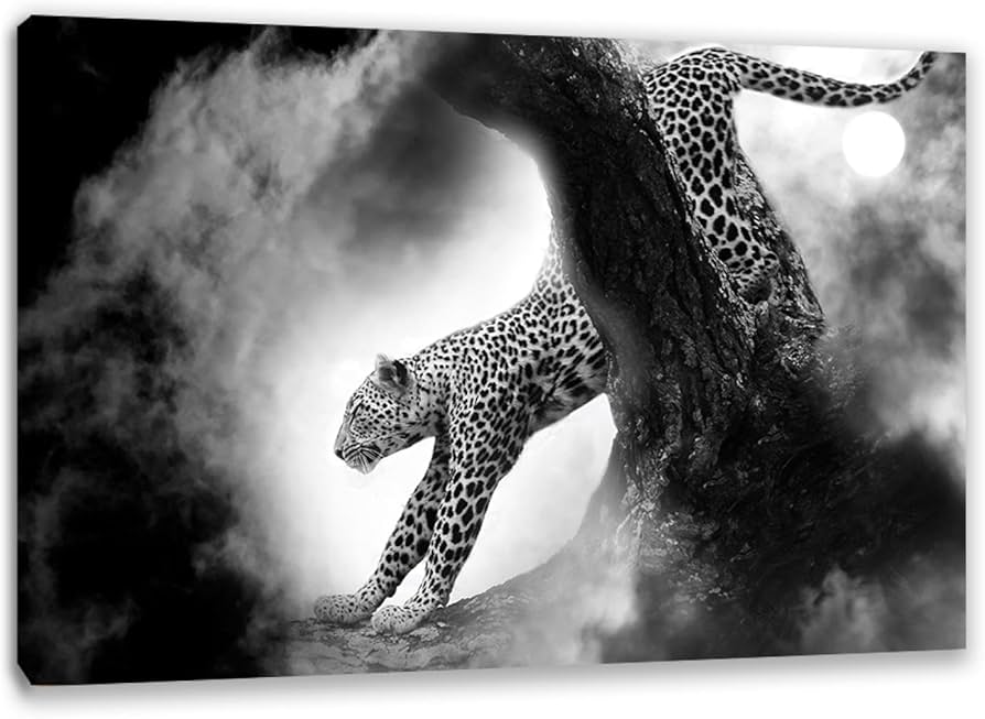 Amazon.com: Black and white black panther Canvas Wall Art,Vintage ...