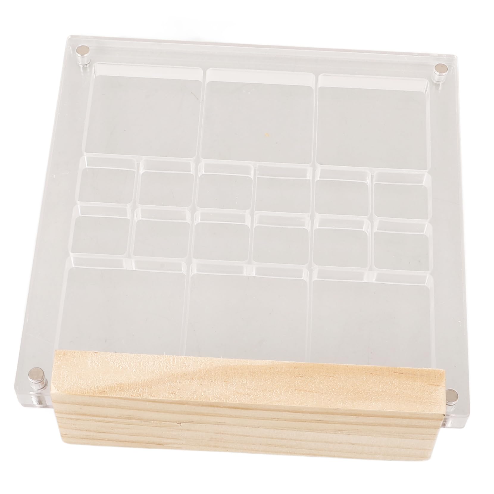 Garneck Box Transparent Shell Storage Box Seas for Simple Bead Sorting Container Small Jewel Collecting Clear Shaped Shell Display Case LED Rock Collection Display Case Wooden