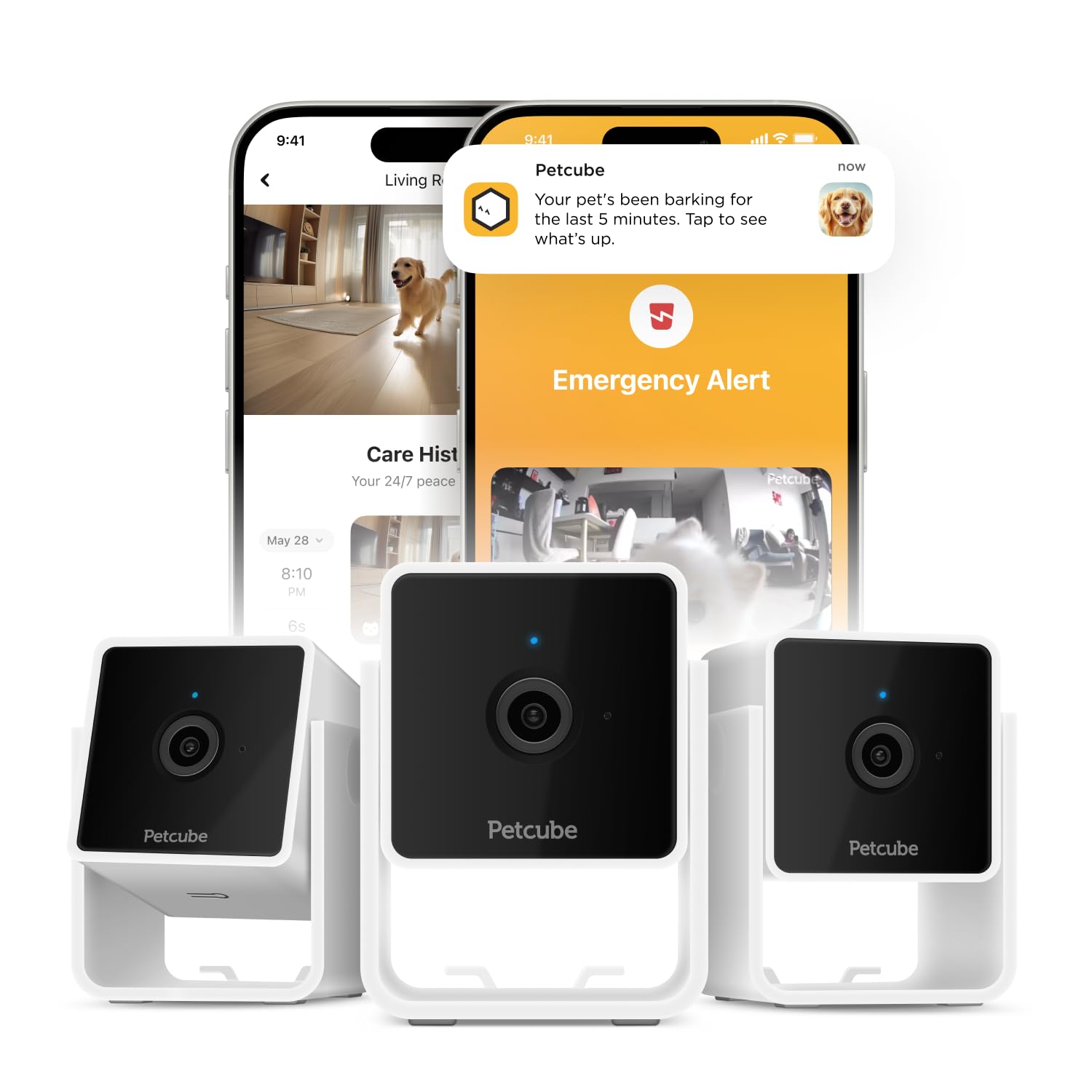 Petcube Cam The Pack of 3 | Indoor Wi-Fi Pet Security Camera with Phone App, 2-Way Audio and Video, Night Vision, 1080p HD Video and Smart Alerts