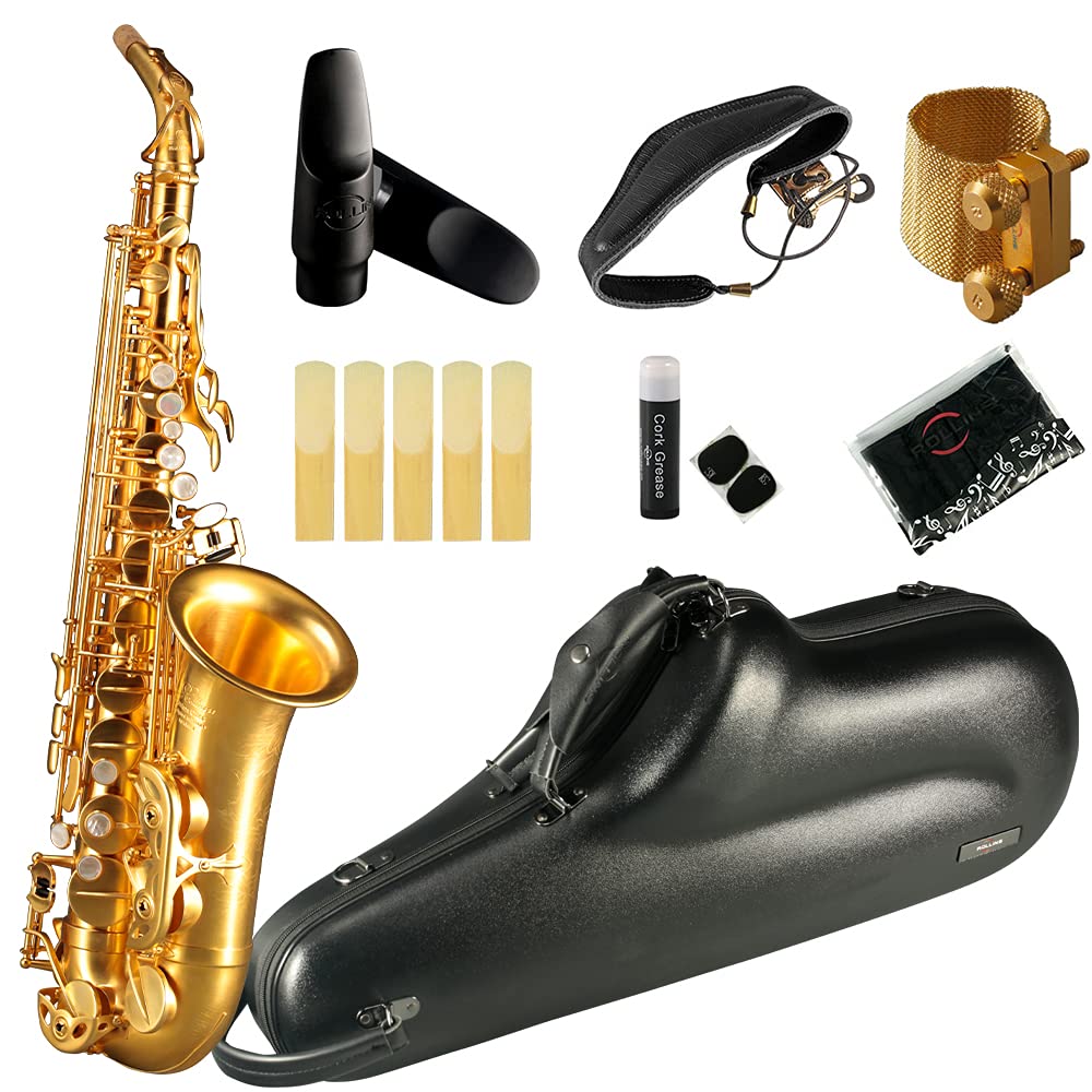 Rollins Saxophone alto RSA-X10-II,E flat Selmer 54-Key,Matière laiton, Or