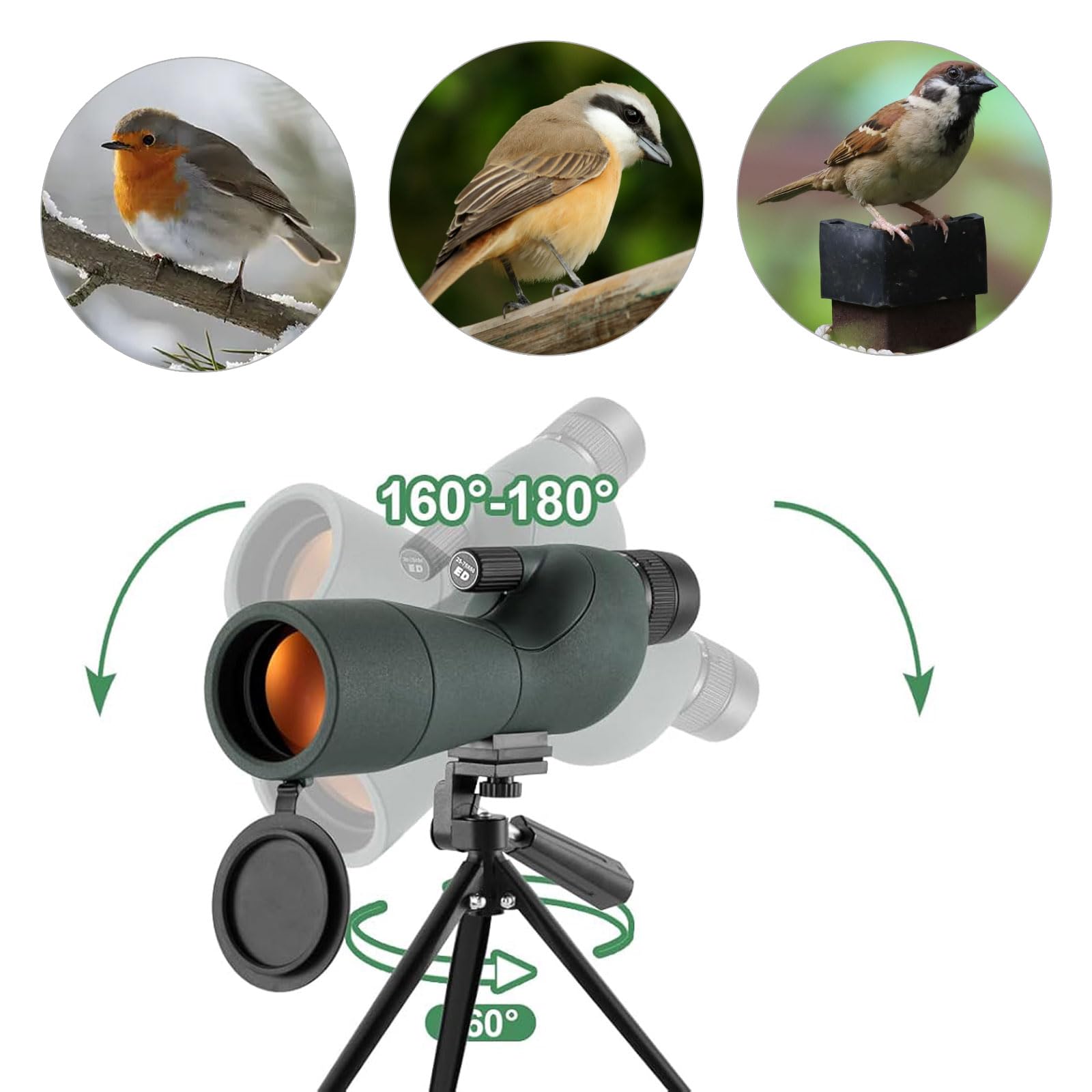 Broad View - Dispositivo de observación de vidrio mejorado de 25 a 75 x 60 mm, ideal para observación de aves y estudio de la naturaleza, detección extendida