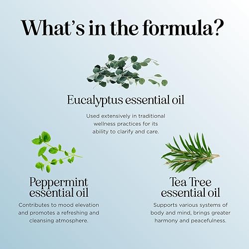 Miniatura 5 de Breathe - Rodillo de aceite esencial de aromaterapia con aceites esenciales vigorizantes, mezcla refrescante de aceites esenciales con aceites