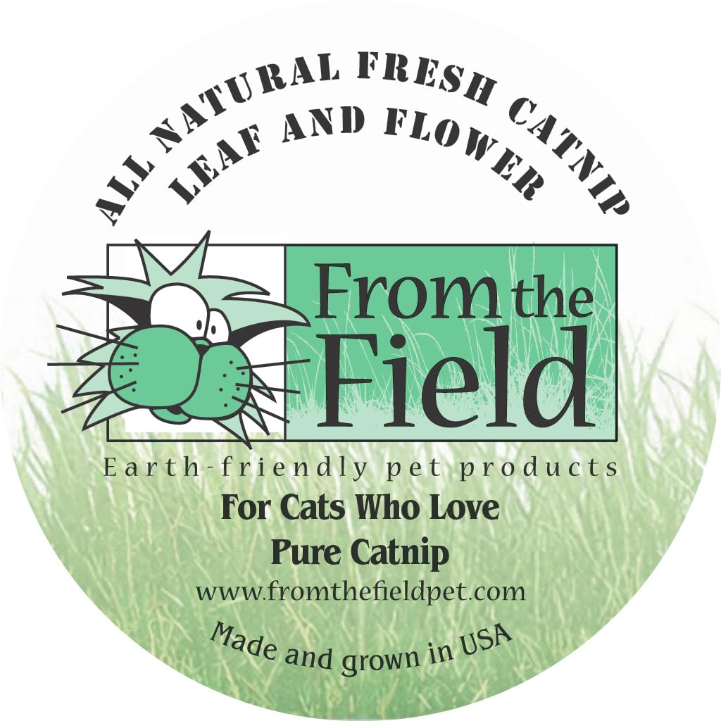 From The Field Doniczka na kwiaty i liście kociej trawy 100 ml