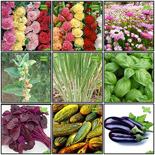 Creative Farmer : Combo Plant Seeds