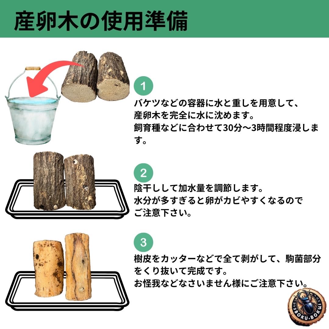 Amazon | 【木ぼく】産卵木 Mサイズ クヌギ・コナラ材 ほだ木 産卵実績