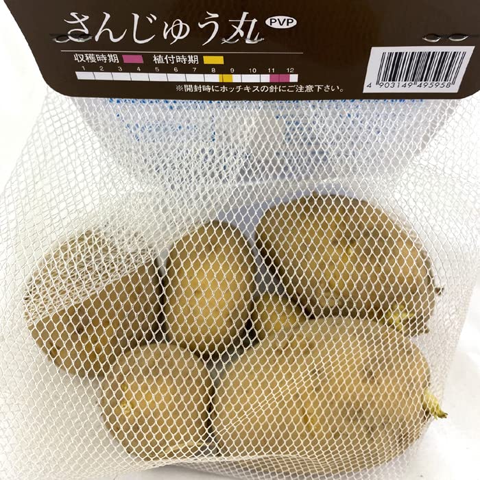 【150】じゃがいもさん専用 Amazon.co.jp: 種 じゃがいも さんじゅう丸 PVP 約500g※大小