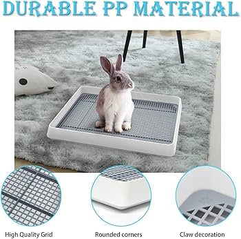 らびっとはーれんと Rabbit!（ラビット！）- Top Music Japan