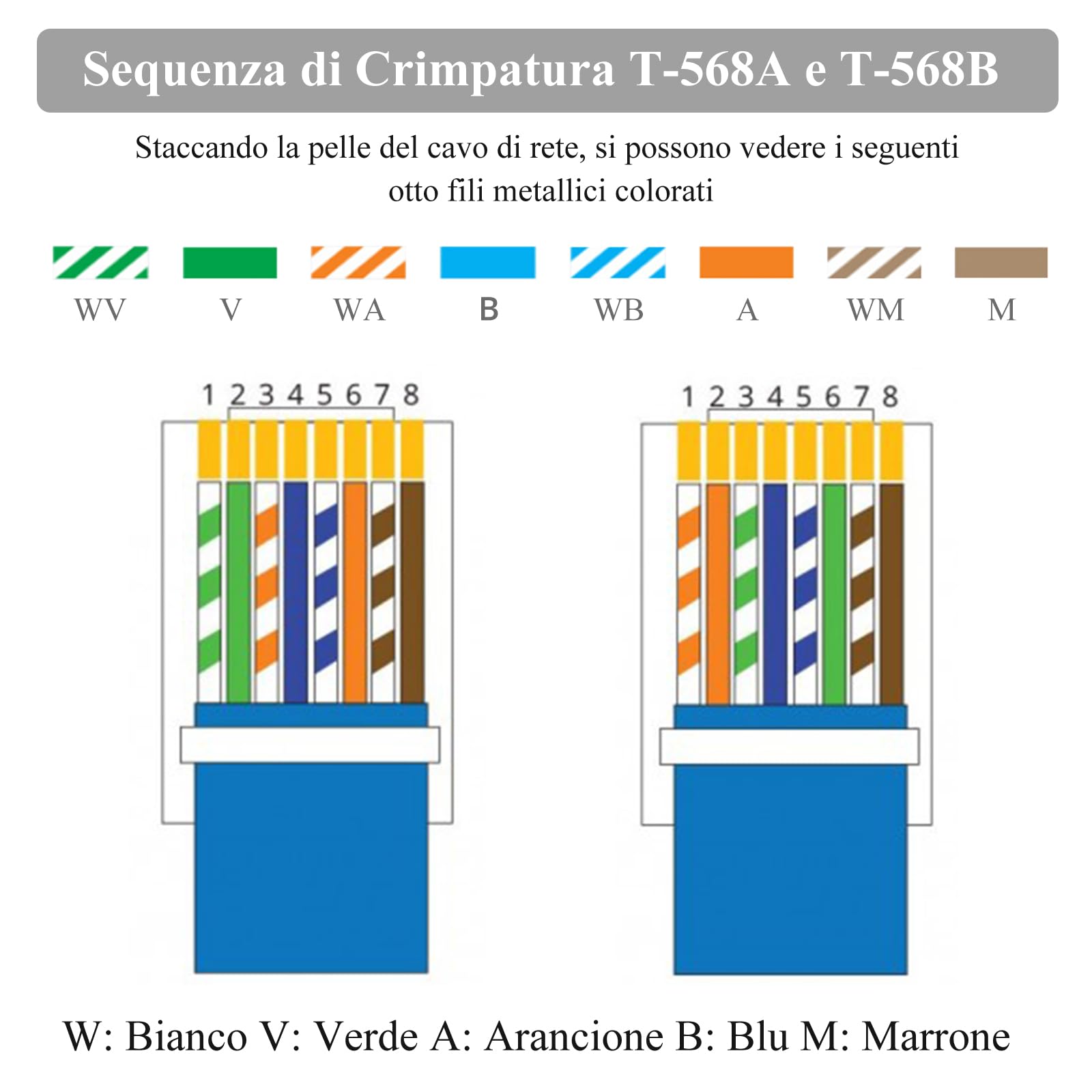 Proster Strumento di Crimpatura RJ45 Cat5 Pinza Crimpatrice per Cavi e Rete Cat5e RJ-11 6P/RJ-12 8P/RJ-45 con Connettori Coperture Fascetta in Nylon Spellafili Cavo Rete