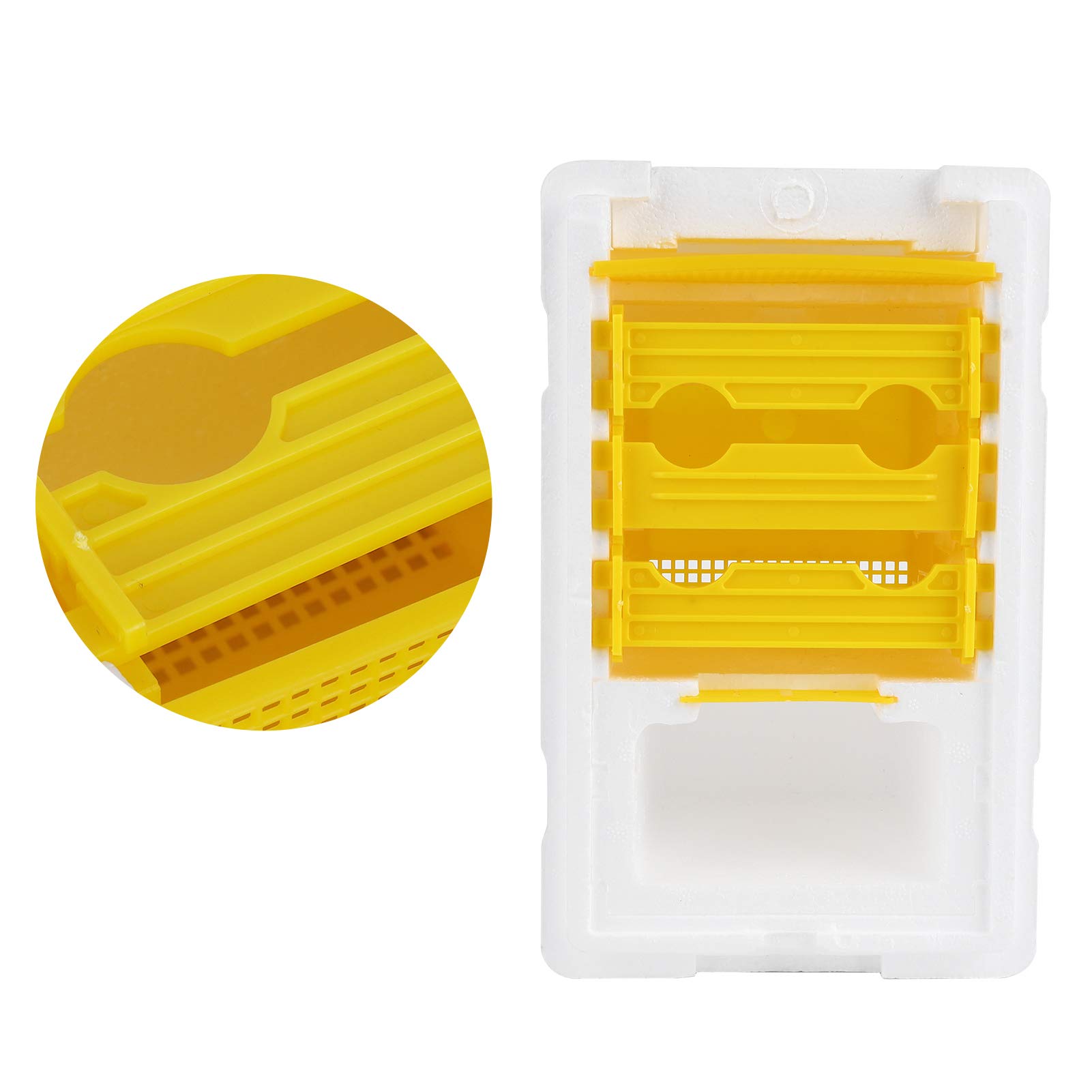Boîte de Ruches en Mousse et en Plastique, Mini Nuc de Mating pour la Reproduction la Reine avec portabilité Compacte, Copulation Apidea Equipment pour Les Fournitures Apiculteurs