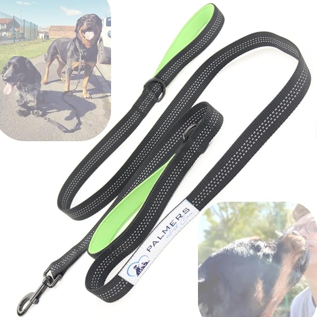 PALMERS PET CARE, Dog lead, UK BRAND, Optimal recommended length 1.8 metres, Training, Walking, Safety, reflective, dog lead for small, medium & large dogs (black and green)