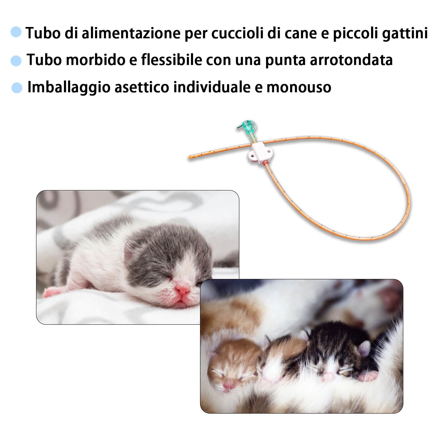 5 PEZZI Sonda Nasogastrica per Animali Domestici – Sonda per Alimentazione Nasale per Gatti e Cani, Sonda per Alimentazione Veterinaria per Supporto Nutrizionale, Resistente e Sicura.