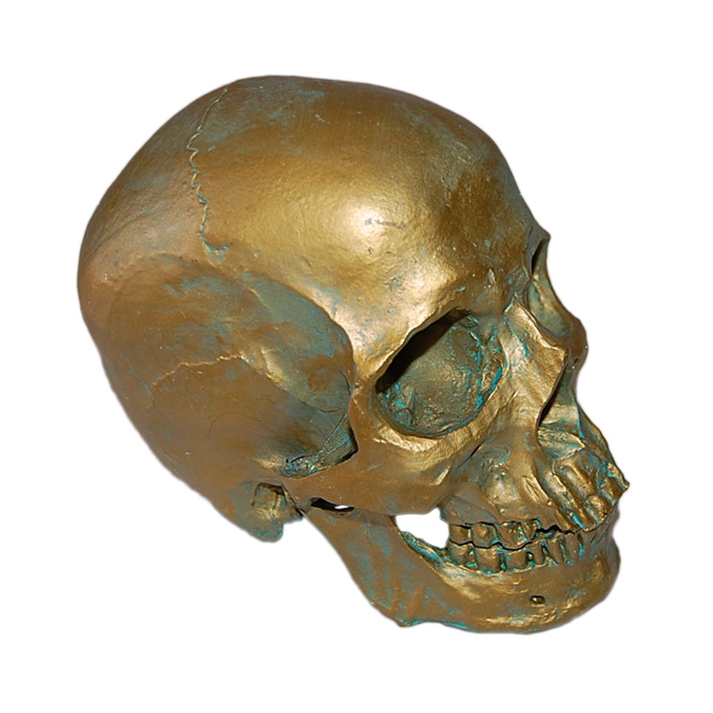 Cráneo Humano de Resina Escultura Decorativa Cabeza Artificial Esqueleto Animal Hecho a Mano Adecuado para Fiestas Enseñanza Y Bar, Bronce Antiguo 1, Individual
