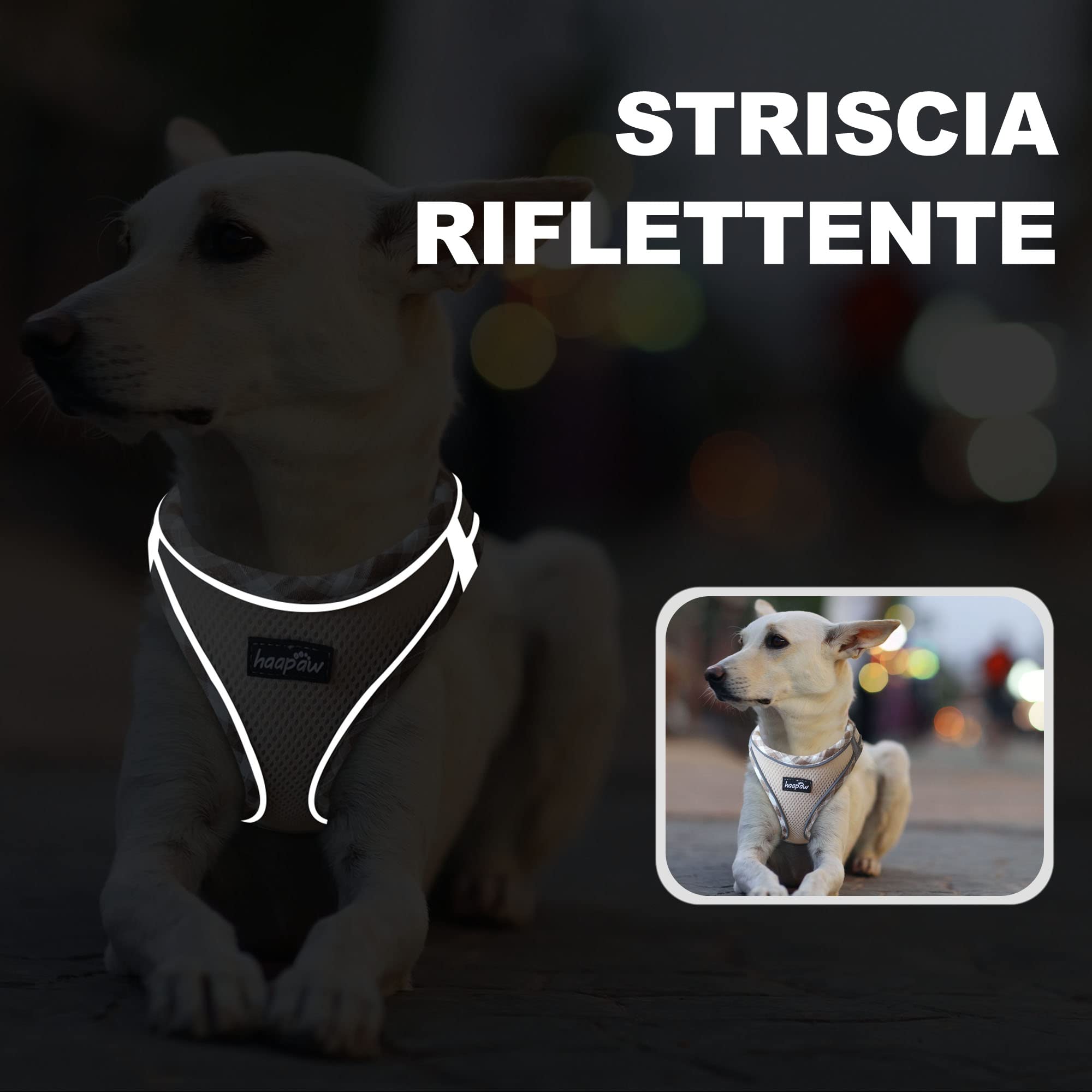 haapaw Pettorina per cani e guinzaglio, senza tirare, regolabile, riflettente Step-in, pettorina imbottita ispessita, per cani extra piccoli/piccoli e medi