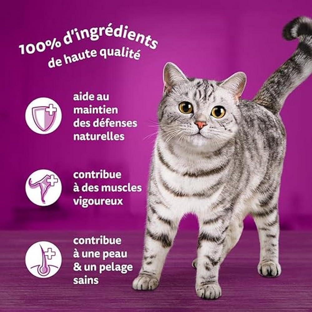 Whiskas Senior 7 natvoer voor katten, sausmix, 48 zakjes à 12 x 85 g (4 stuks) - hoogwaardig natvoer voor katten vanaf 7 jaar