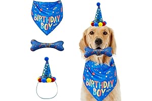 Charming Dog Birthday Hat and Bandana Set: A Pawsome Celebration