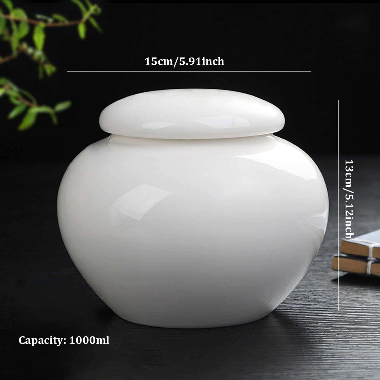 Urne per ceneri Urna bianca in ceramica da 1000 ml, urne per cremazione a tenuta stagna per ceneri umane, urna commemorativa per di animali domestici da 5, 9x5, 1 pollici per cani e gatti per f