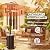 DIAMONDFORGE 50,000 BTU Patio Heater - Propane Patio Heater with Sand Box, Double-Layer Stainless Steel Burner, Round Table Design Space Heater, Outdoor Heaters with Wheels for Garden and Patio, Brown