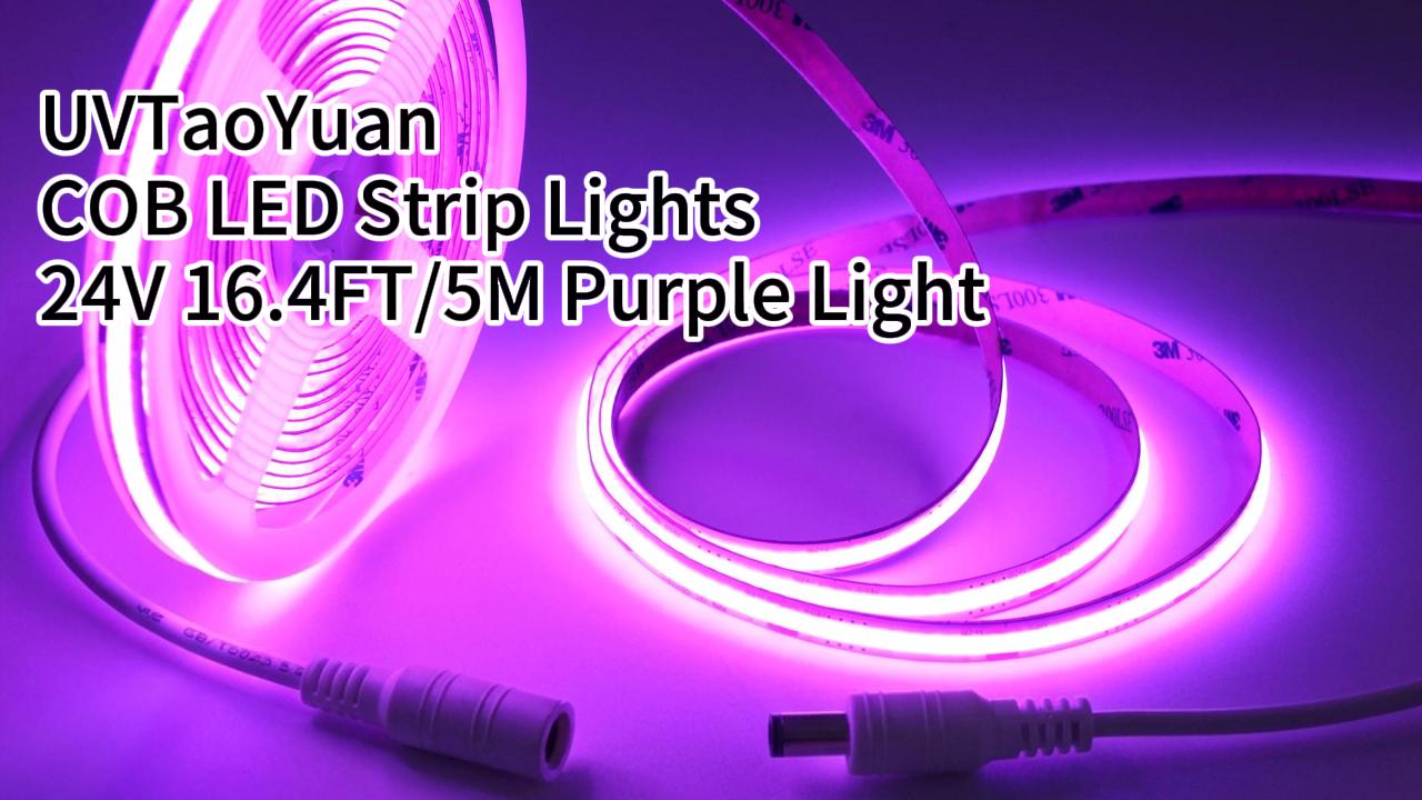 Image of LED Strip Lights 24V COB Purple 16.4ft (No Power Supply) | Super Bright, Dotless High Density 14W /m, 8mm Width Cuttable Flexible, Home DIY Commercial Decoration