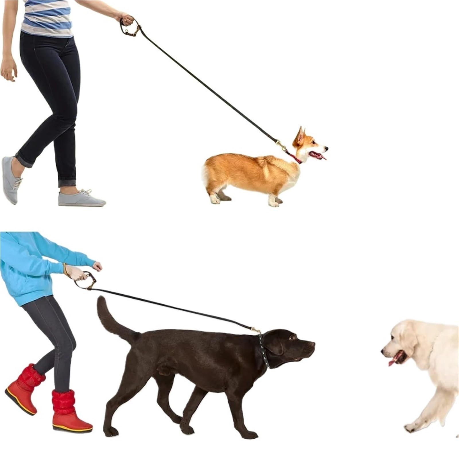 Joggingleine Hunde Mit Bauchgurt Multifunktionaler Hundegurt, weiches PU-Leder, verstellbar, freihändig, doppelter Hundegurt for alle Hunde(Black)