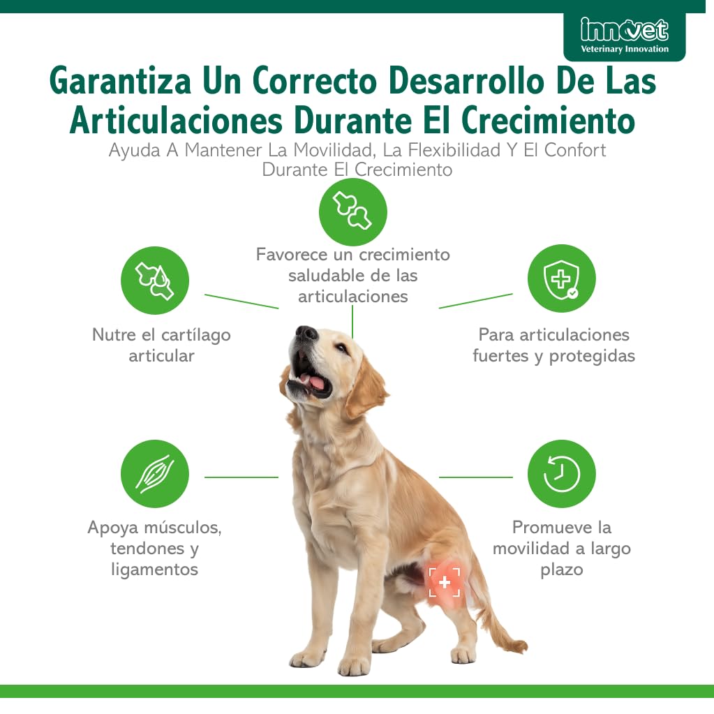 Innovet Condrogen Puppy Condroprotector Perros Cachorros 60 Comprimidos | Articulaciones Fuertes Durante el Crecimiento con Glucosamina Condroitina – Nutre el Cartílago Para Razas Grandes y Gigantes