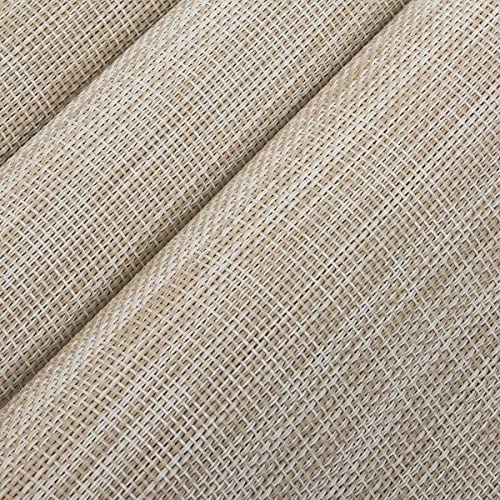 Image of Anugrah Dining Mats Table Mats PVC Placemats Heat-Resistant Placemat for Dining Tea Table Woven Vinyl Stain Resistant Table Mats Easy to Clean - 45x30 cm (Purple, 2)
