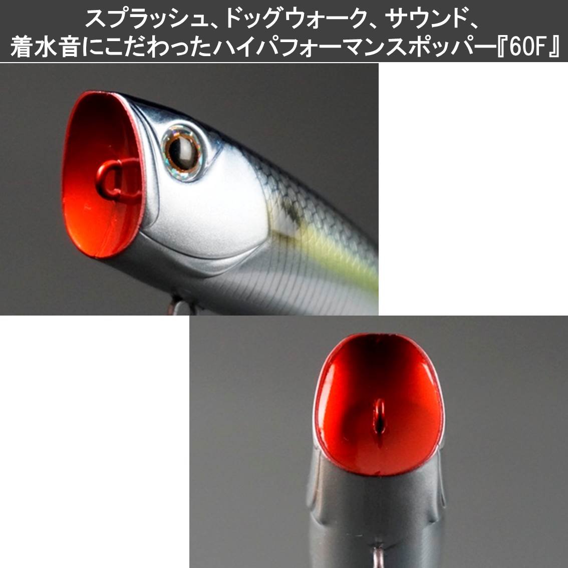 ダイワ　スティーズマルチケース　スティーズポッパー60F ガストネード ダイワ スティーズマルチケース スティーズポッパー60F ガストネード