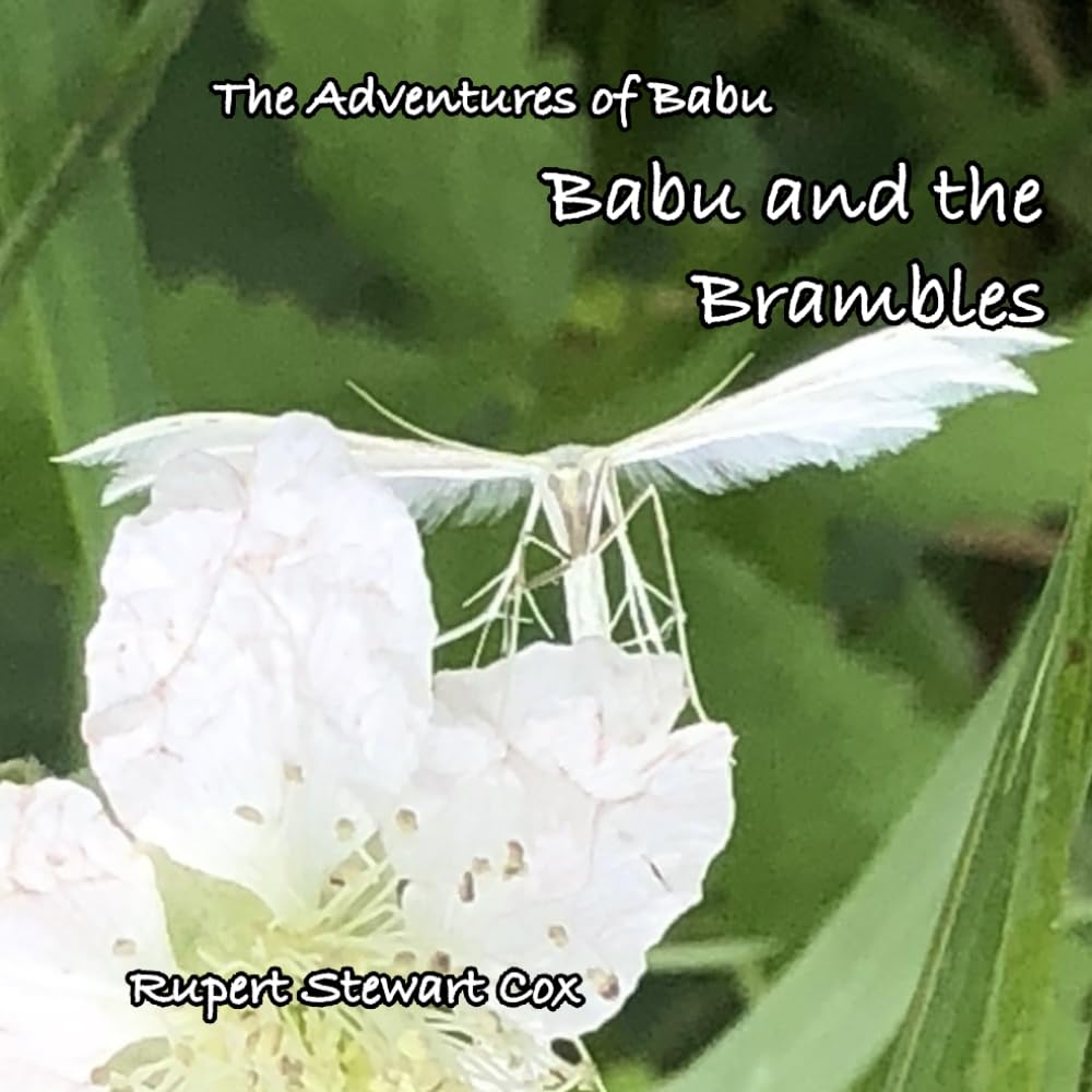 Babu and the Brambles (The Adventures of Babu)