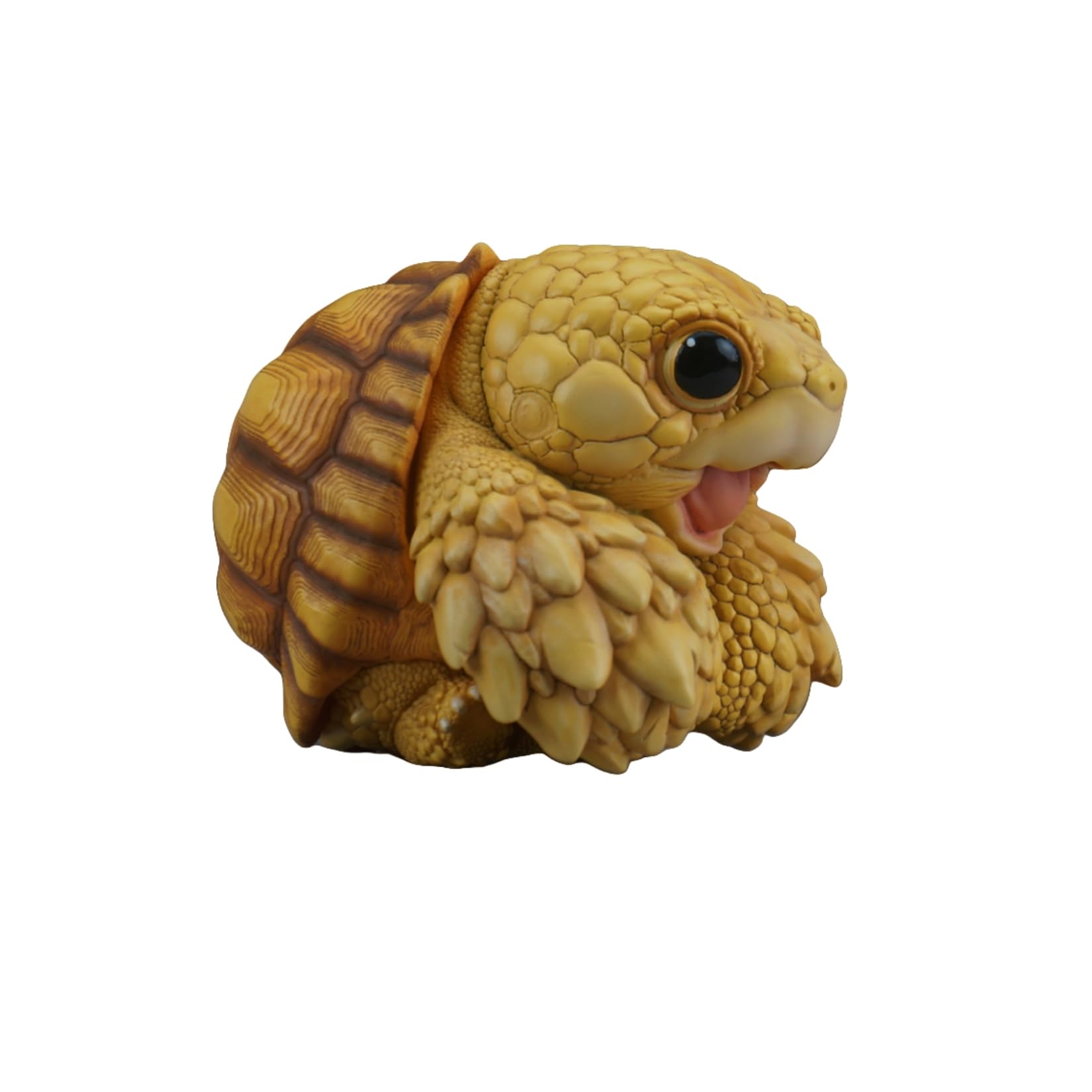 Naturetales セマルハコガメ　幼体フィギュア Amazon.co.jp: 博物志 ケヅメリクガメ セマルハコガメ 樹脂 可愛い