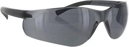 Gafas de protección Pyramex Ztek Safety